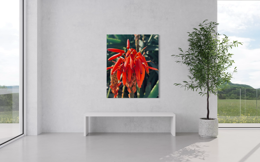Solar Veins displayed in a minimal white interior, adding a striking red focal point to the room.