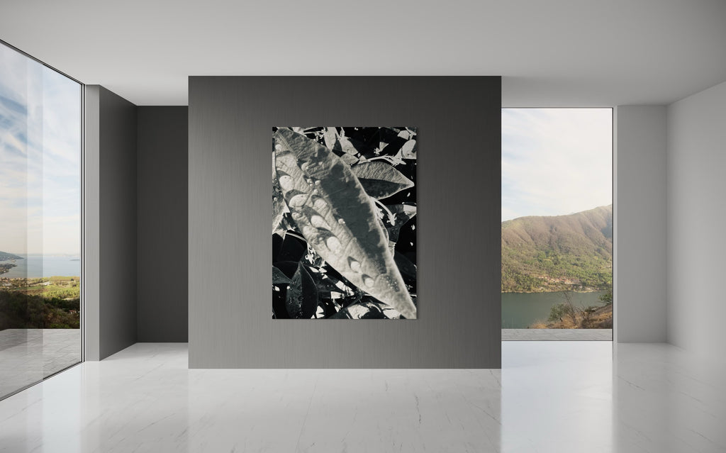 Umbra centered in a serene grey interior framed by expansive windows, adding organic contrast to the space.