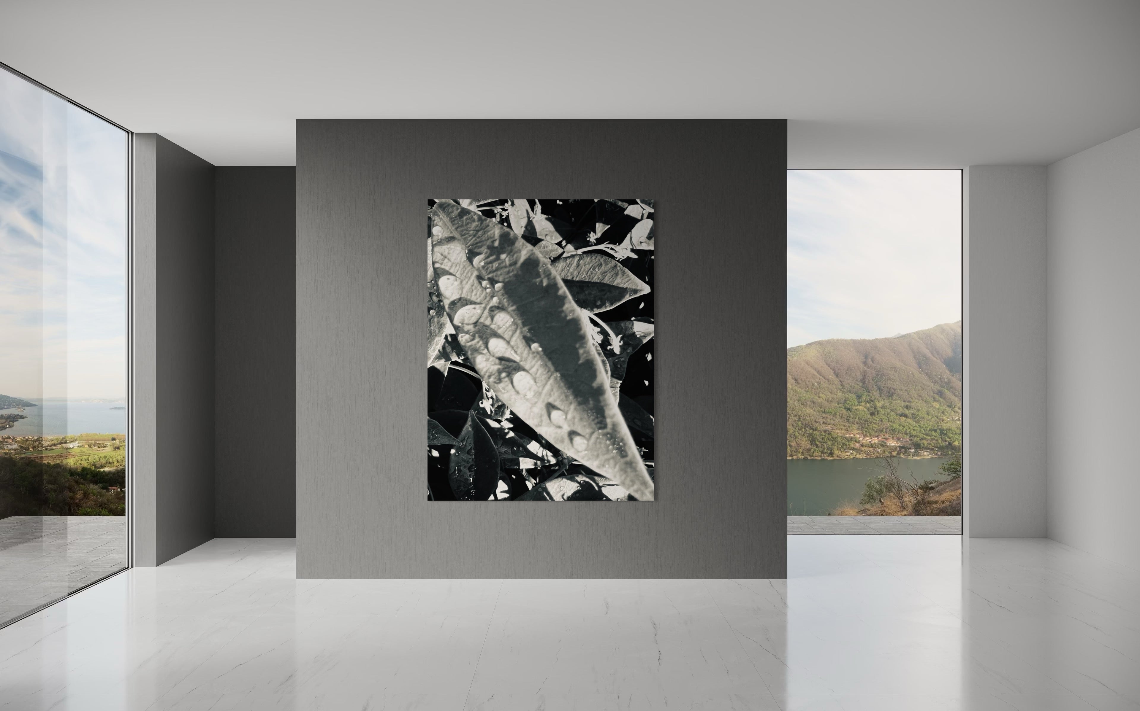 Umbra centered in a serene grey interior framed by expansive windows, adding organic contrast to the space.