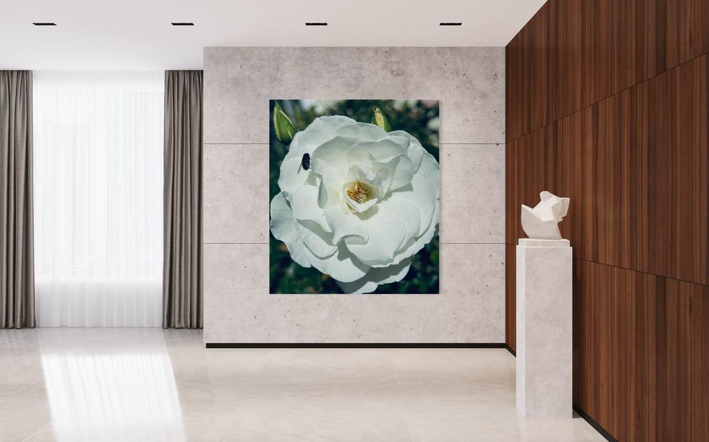 ‘The Visitor’ centered on a textured gallery wall, blending natural beauty with refined architectural details.