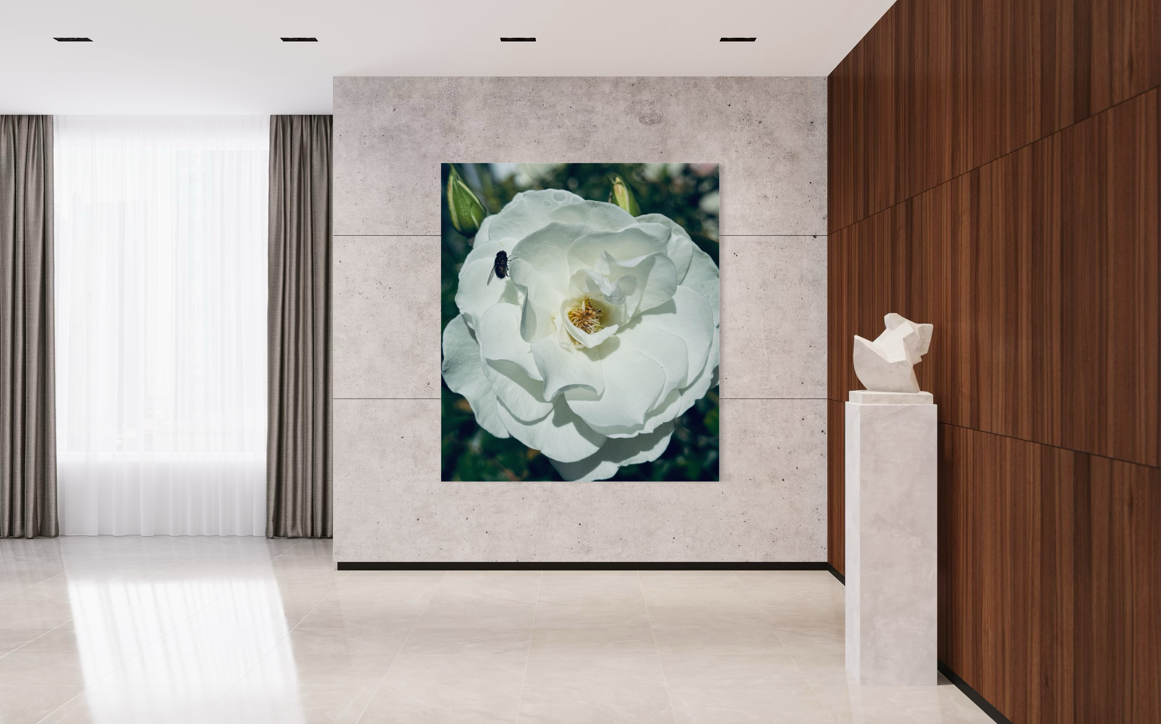 ‘The Visitor’ centered on a textured gallery wall, blending natural beauty with refined architectural details.