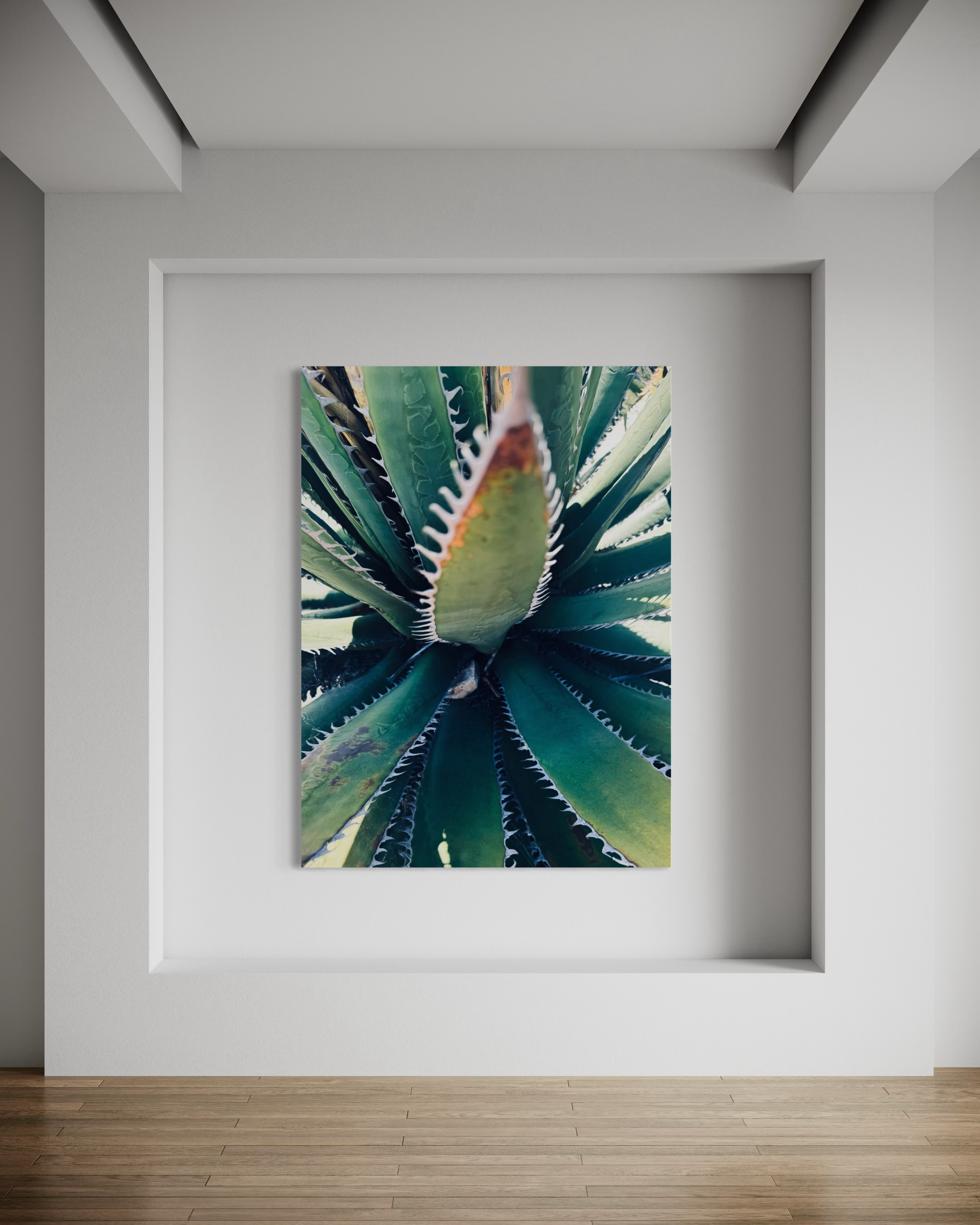 Etherea set within a recessed gallery-style wall, highlighting the precision and elegance of its natural structure.