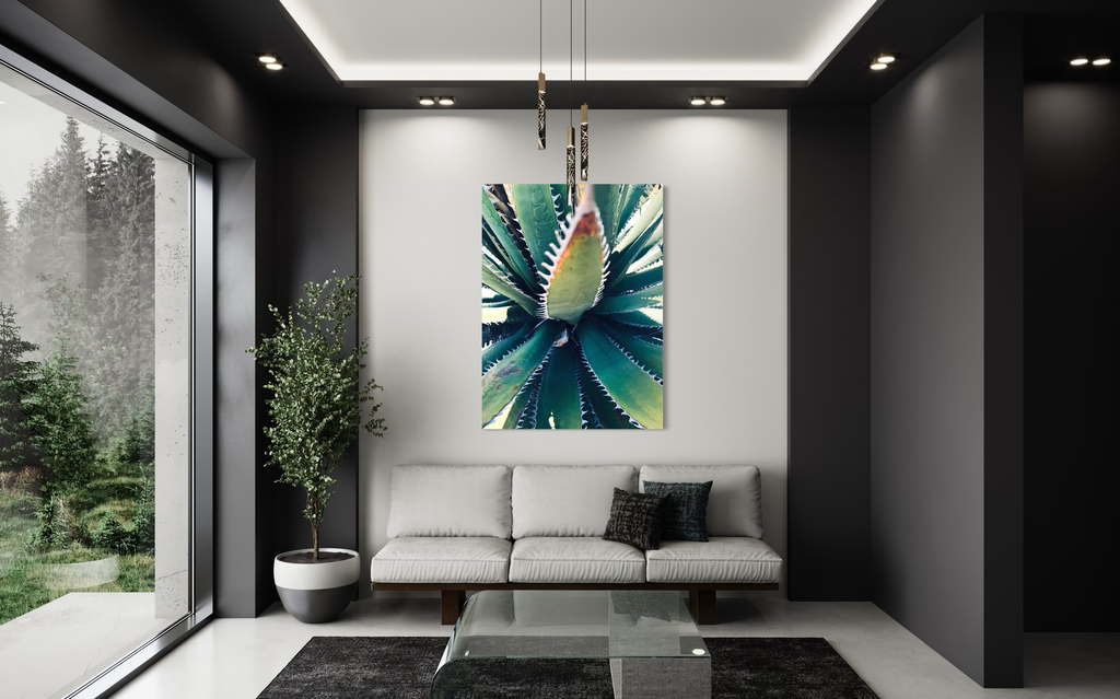 Etherea displayed in a modern dark-walled living space, its geometric agave form adding contrast and calm.
