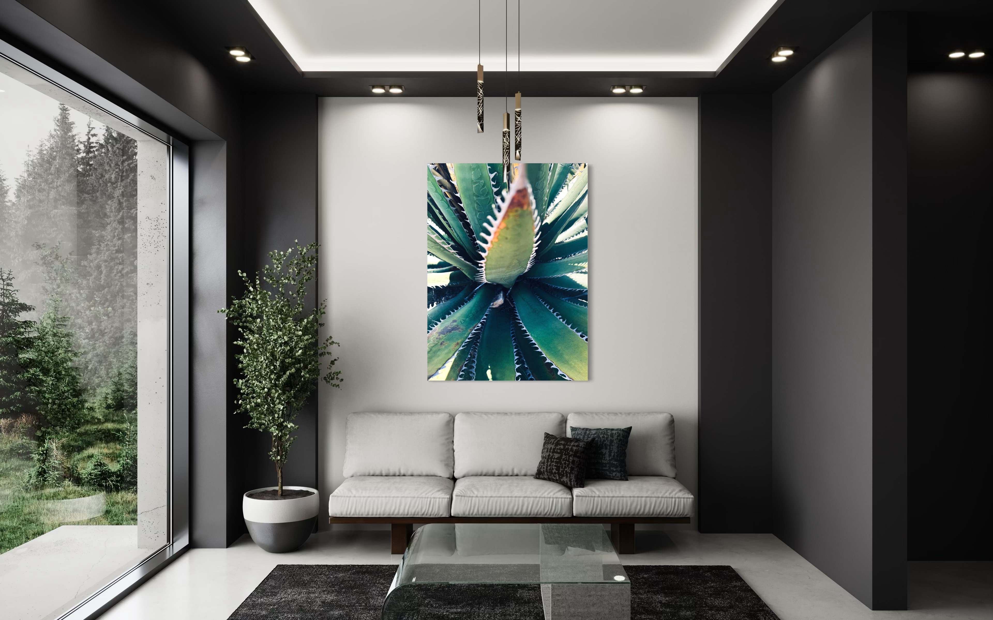 Etherea displayed in a modern dark-walled living space, its geometric agave form adding contrast and calm.