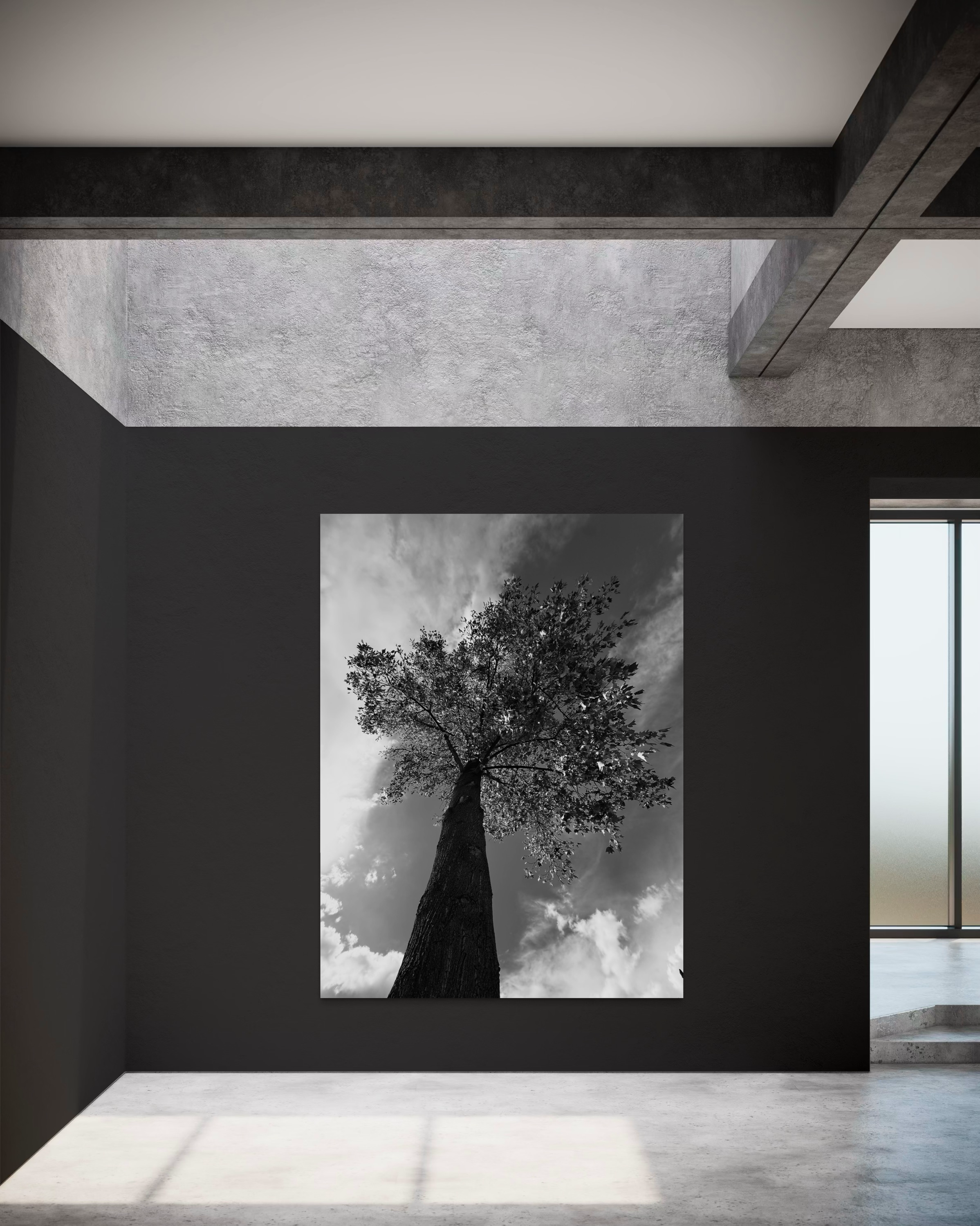 Large monochrome tree artwork displayed in a modern concrete interior, with geometric architectural lines framing the piece.