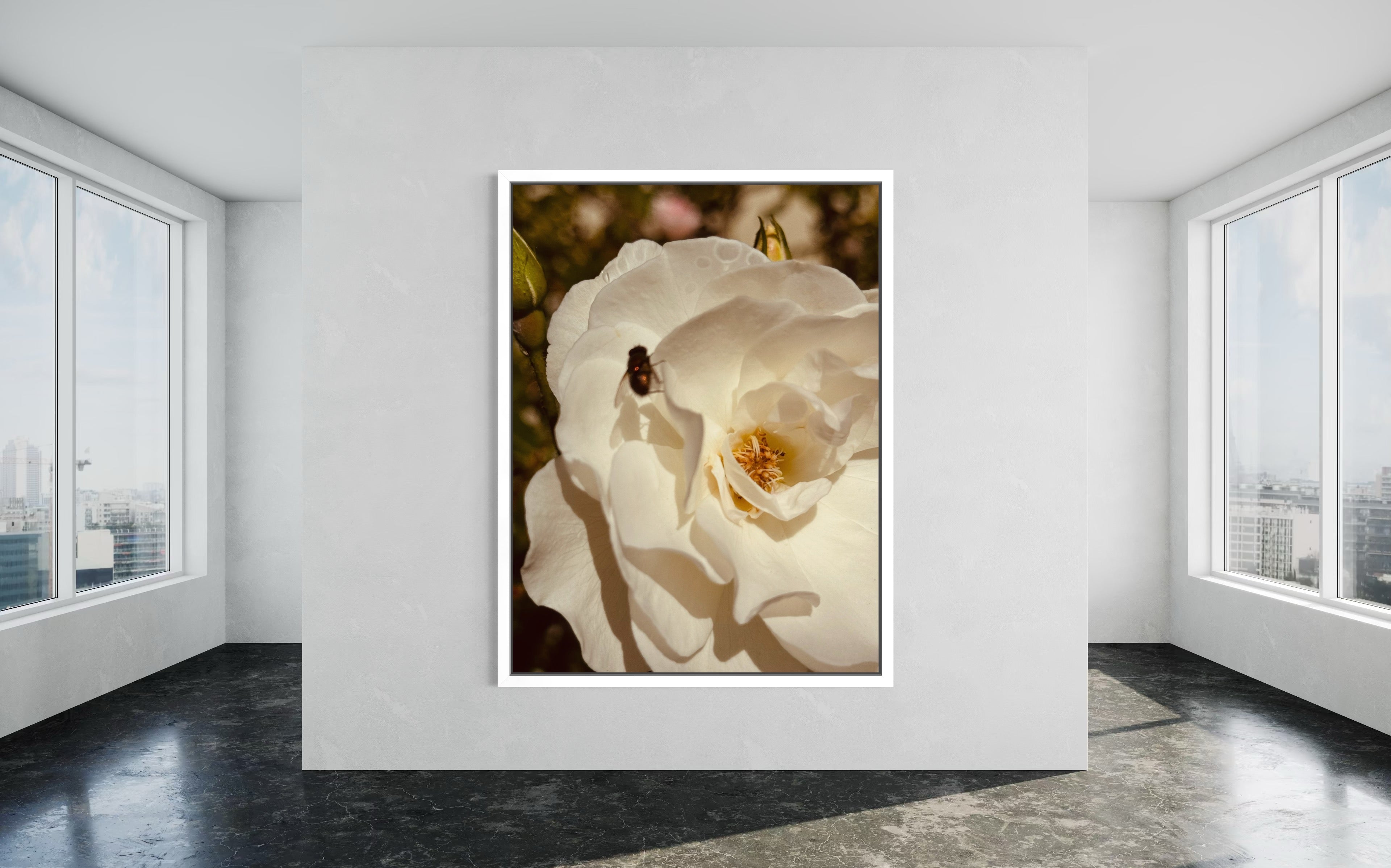 The Arrival artwork in a white floating frame, highlighting the soft tones of the white rose and fly.