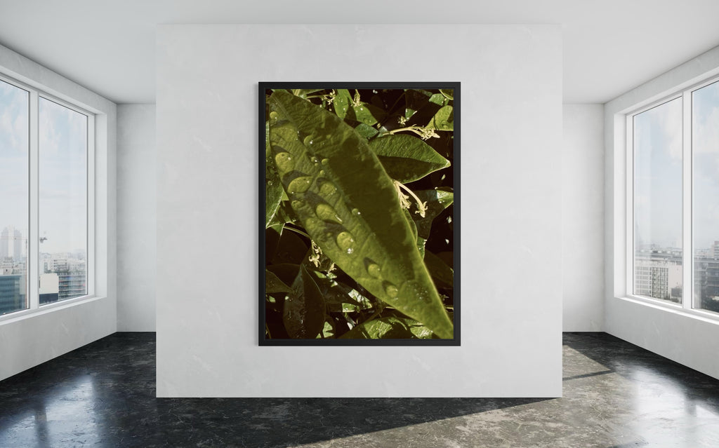 Lumen presented in a sleek black floating frame, accentuating its golden green tones and refined botanical detail.