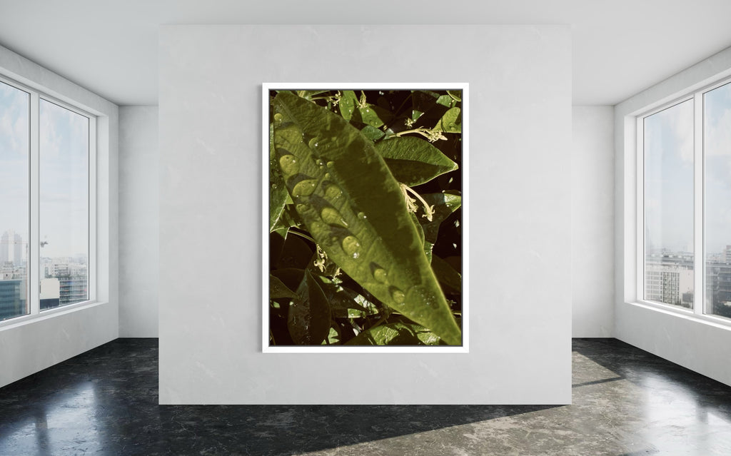 Lumen in a crisp white floating frame, offering a bright, minimalist presentation for the artwork’s natural textures.