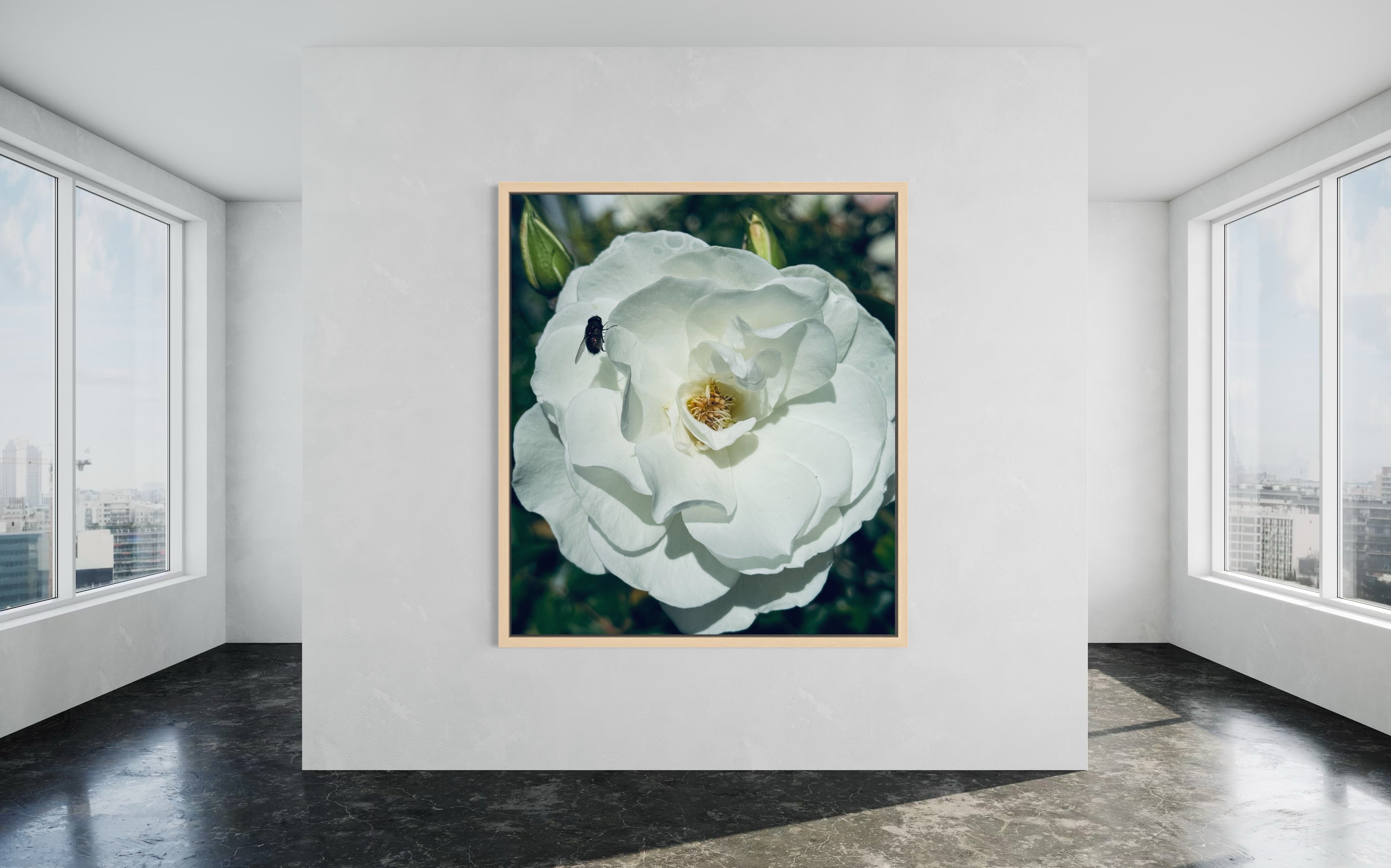The Visitor’ in a natural wood floating frame, adding organic warmth to the white rose and soft golden tones.