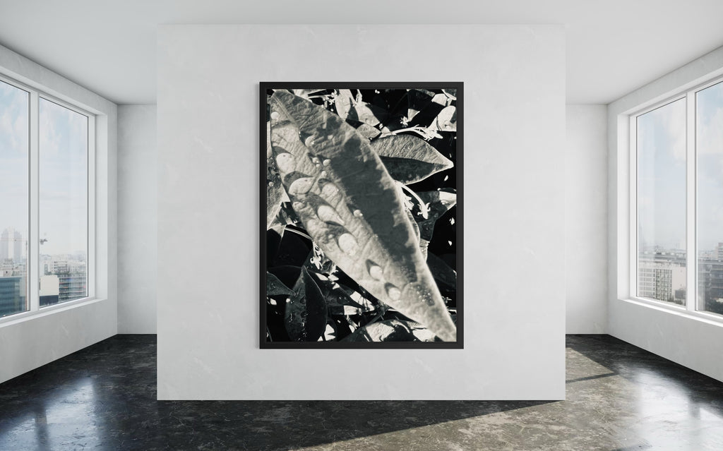 Umbra presented in a black floating frame — the deep tone amplifies the artwork’s dramatic monochrome contrasts.
