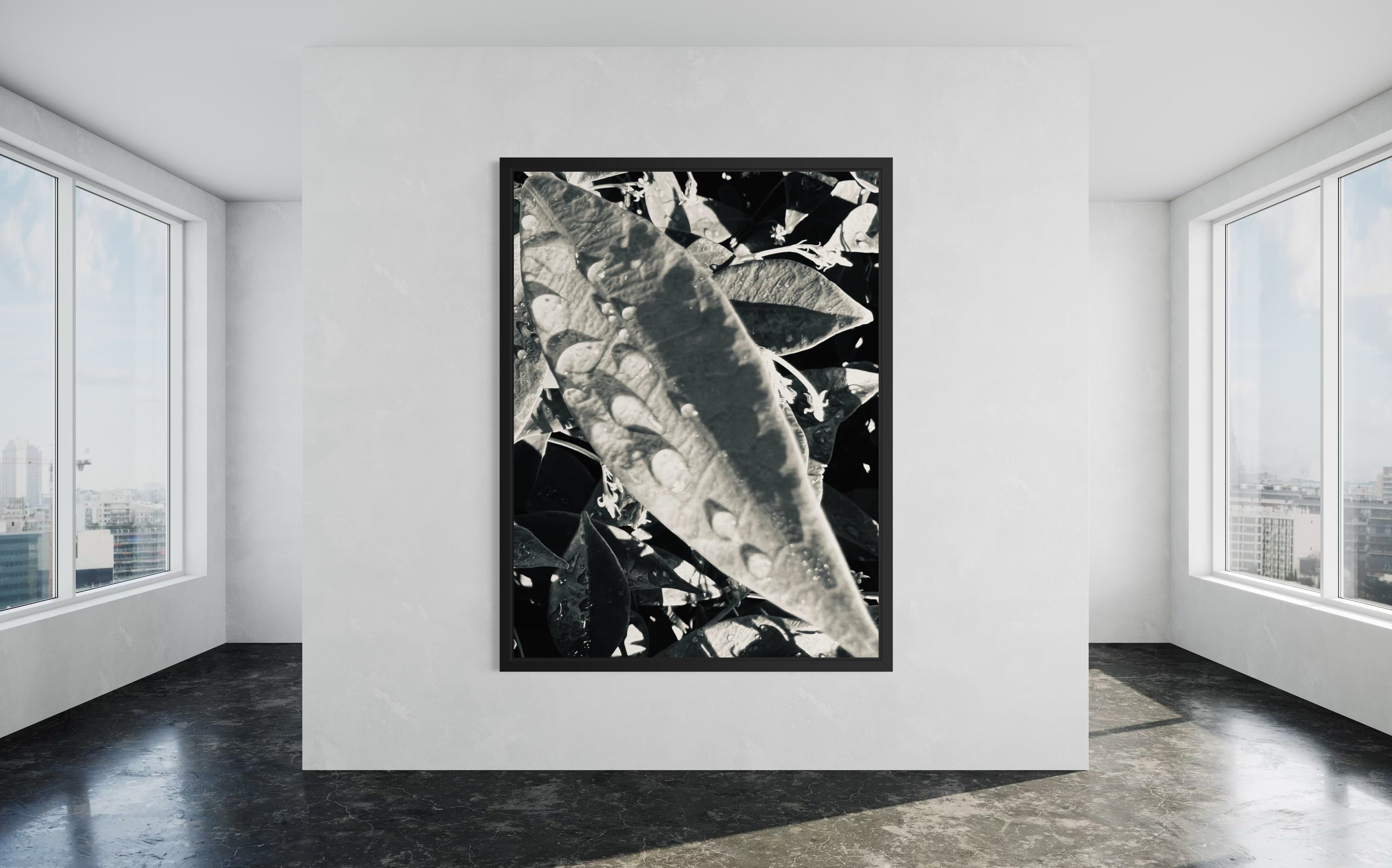 Umbra presented in a black floating frame — the deep tone amplifies the artwork’s dramatic monochrome contrasts.