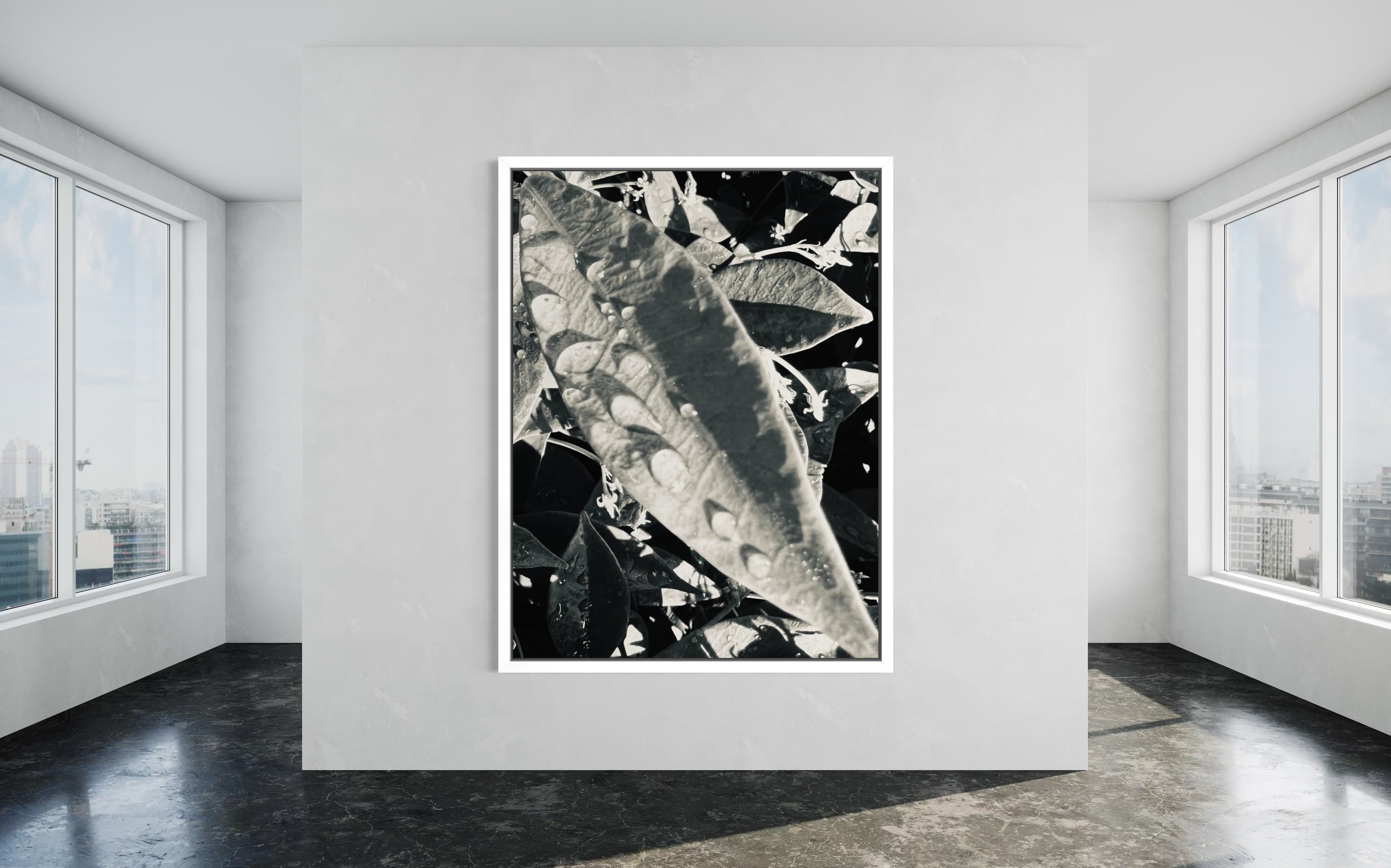 Umbra presented in a white floating frame, offering a clean, modern edge that softens the artwork’s bold shadows.