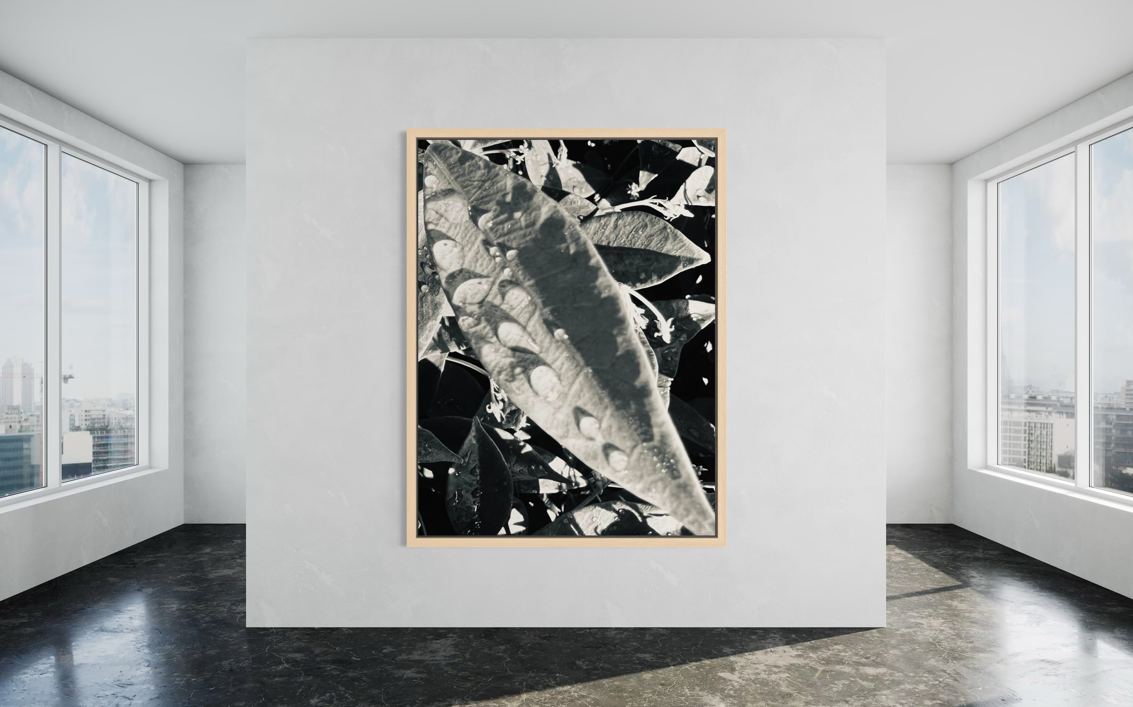 Umbra presented in a natural wood floating frame, adding subtle warmth that balances the artwork’s cool monochrome palette.