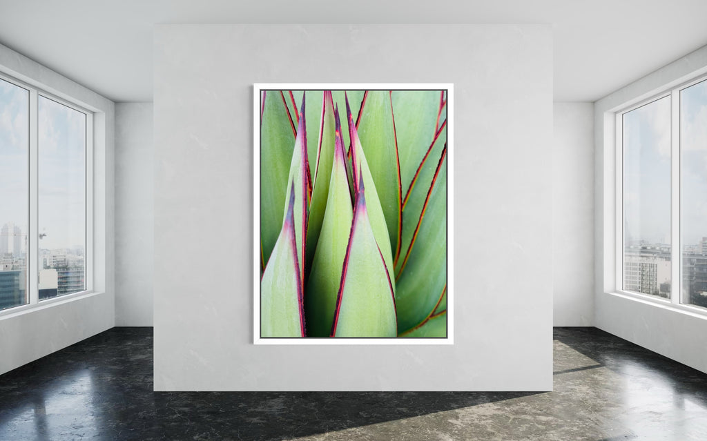 Verdant Lines fine art print in a white floating frame, showcased in a minimalist room with clean, bright tones.”

