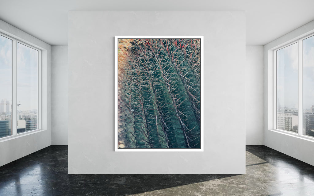 Thorns of Silence fine art print in a crisp white floating frame.