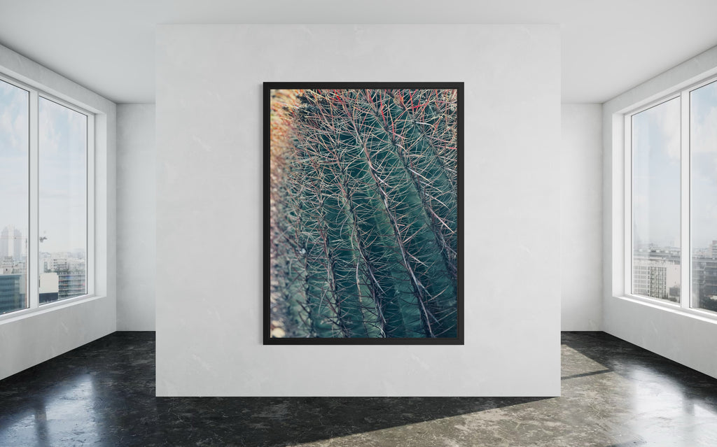 Thorns of Silence fine art print in a sleek black floating frame