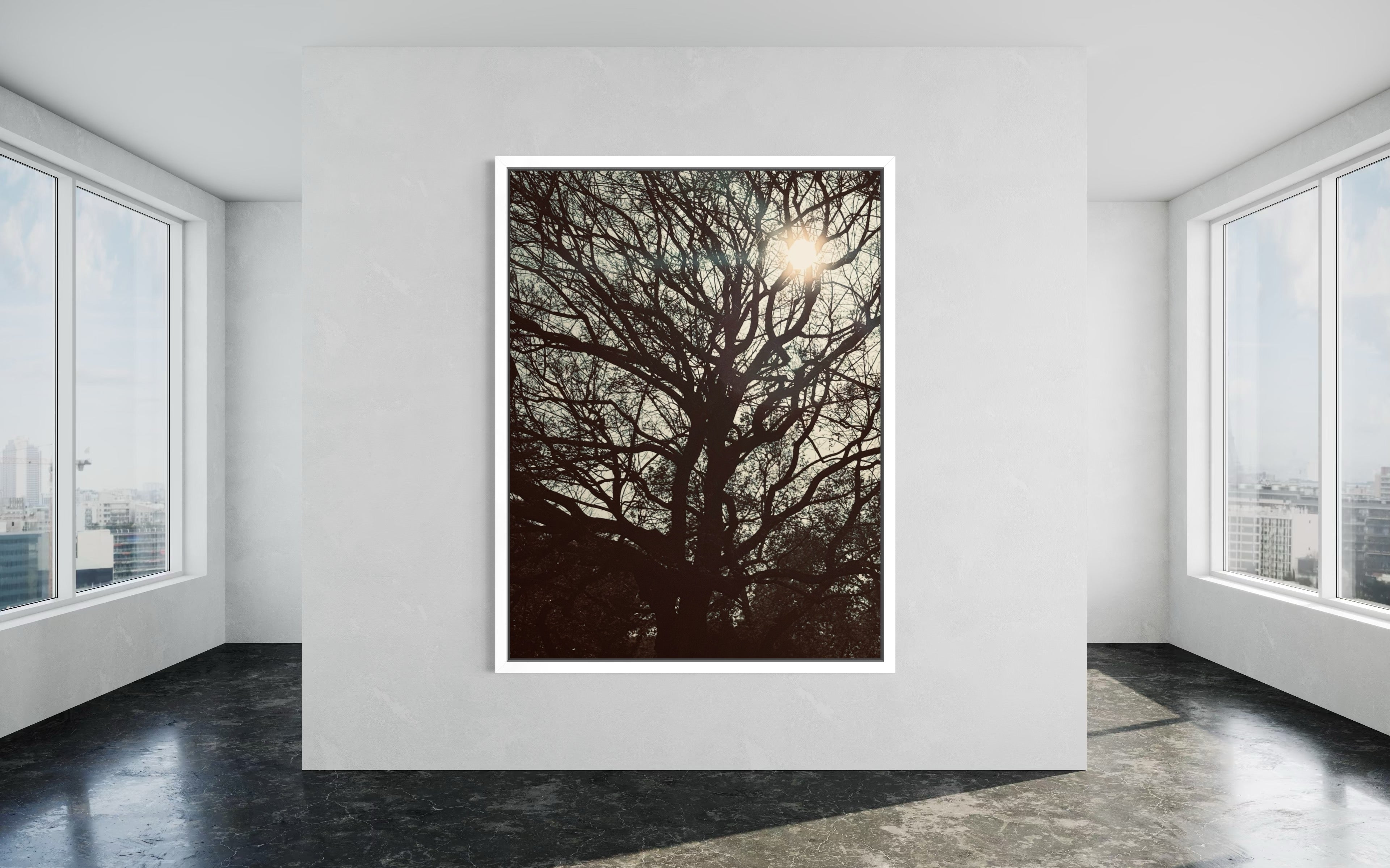 Sol Lumina in a white floating frame — emphasizing the soft glow and graceful branching silhouette.