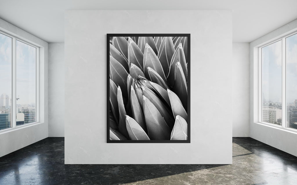 Crown of Quiet in a black floating frame — bold, minimal, and museum-clean.