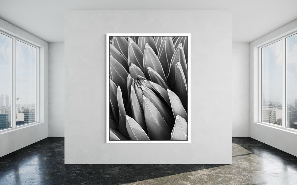 Crown of Quiet in a white floating frame — bright, refined, and quietly architectural.