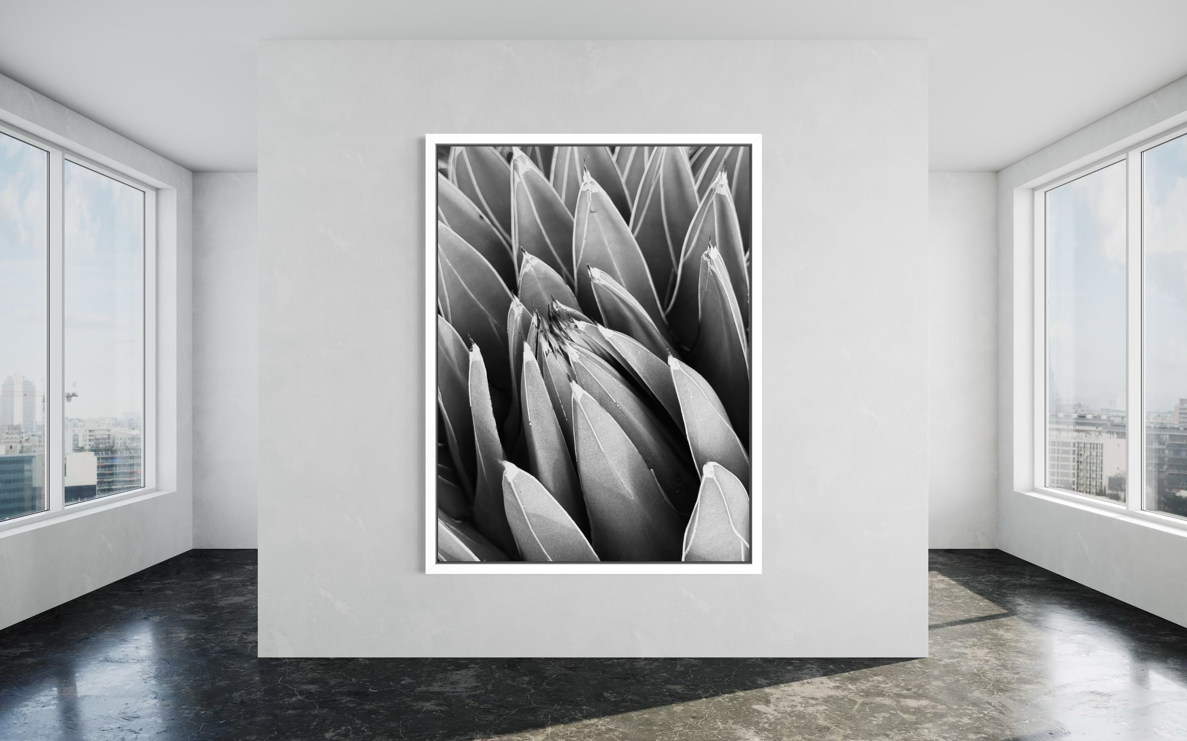 Crown of Quiet in a white floating frame — bright, refined, and quietly architectural.