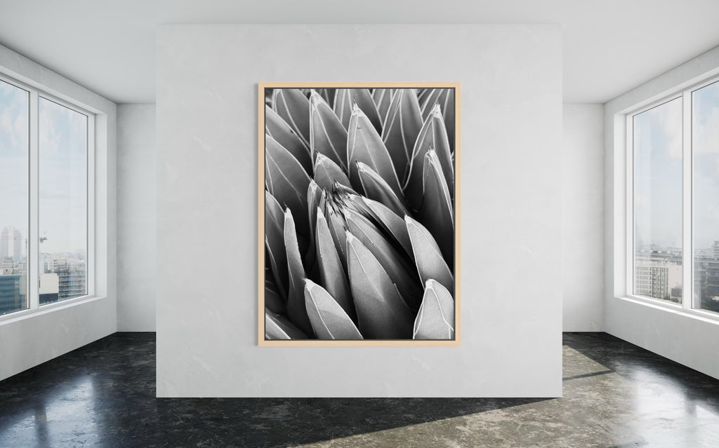 Crown of Quiet in a natural wood floating frame — warm, organic, and softly elevated.