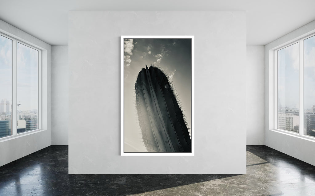 Desert Ascend presented in a crisp white floating frame — clean, elevated, contemporary.