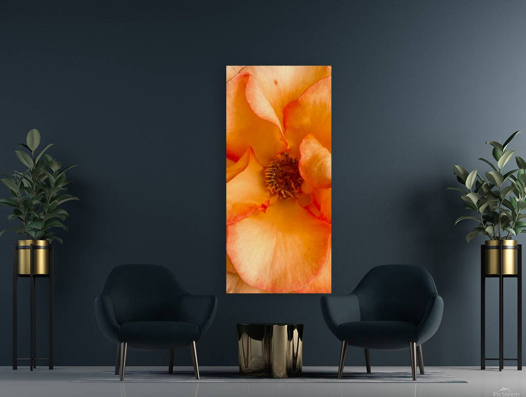 2480831 :: Giclée Stretched Canvas Print