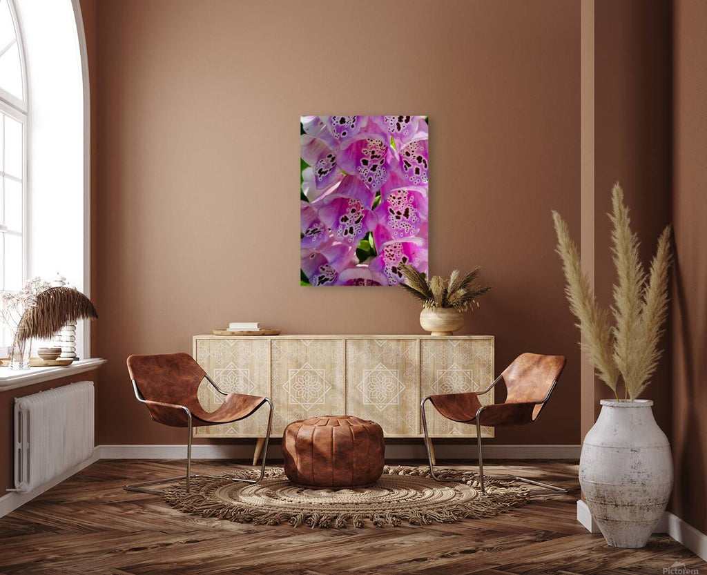 2480840 :: Giclée Stretched Canvas Print